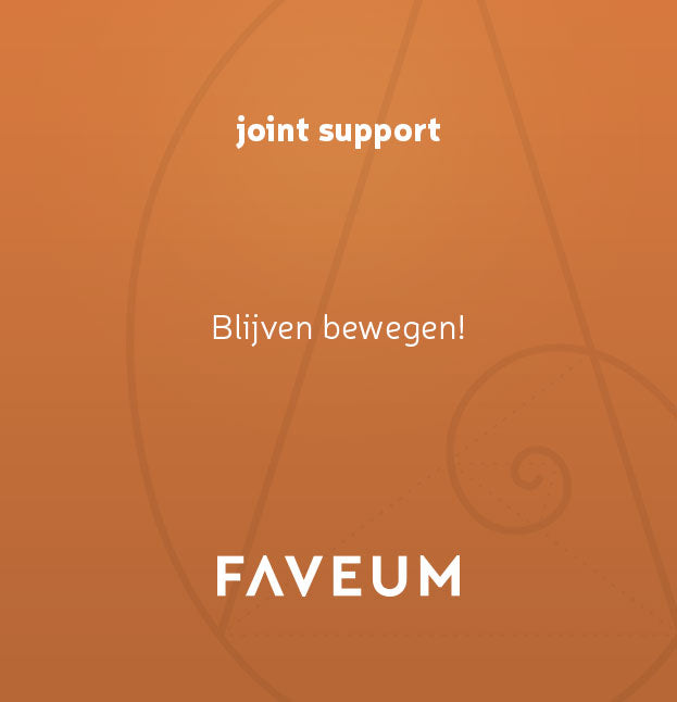 joint support