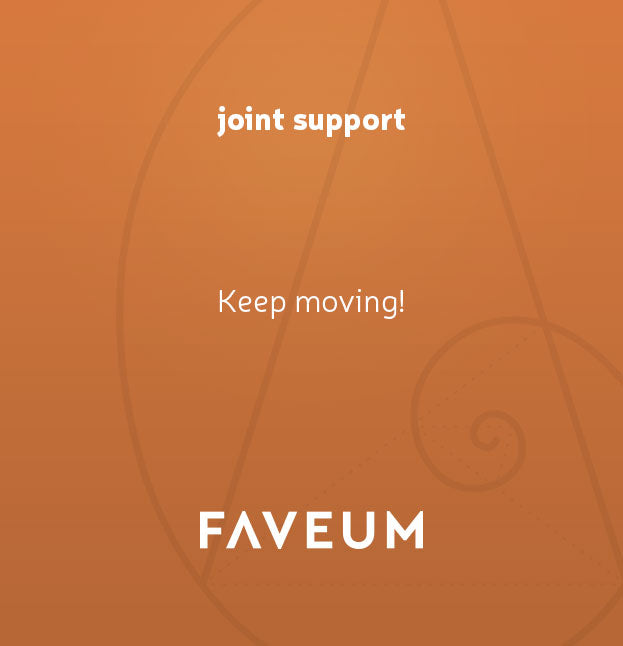 Joint Support