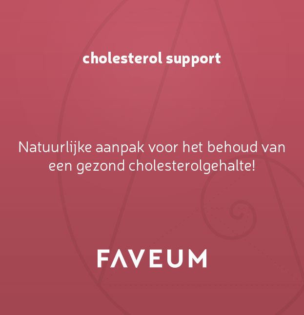 cholesterol support
